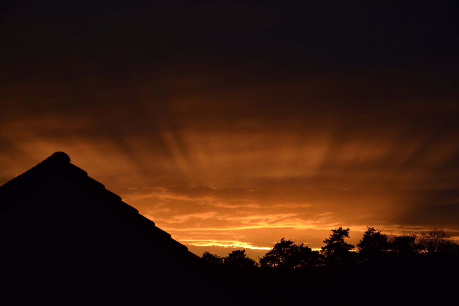 Nikon D3100 sample photo. Sunset, sun, nature sunset photography