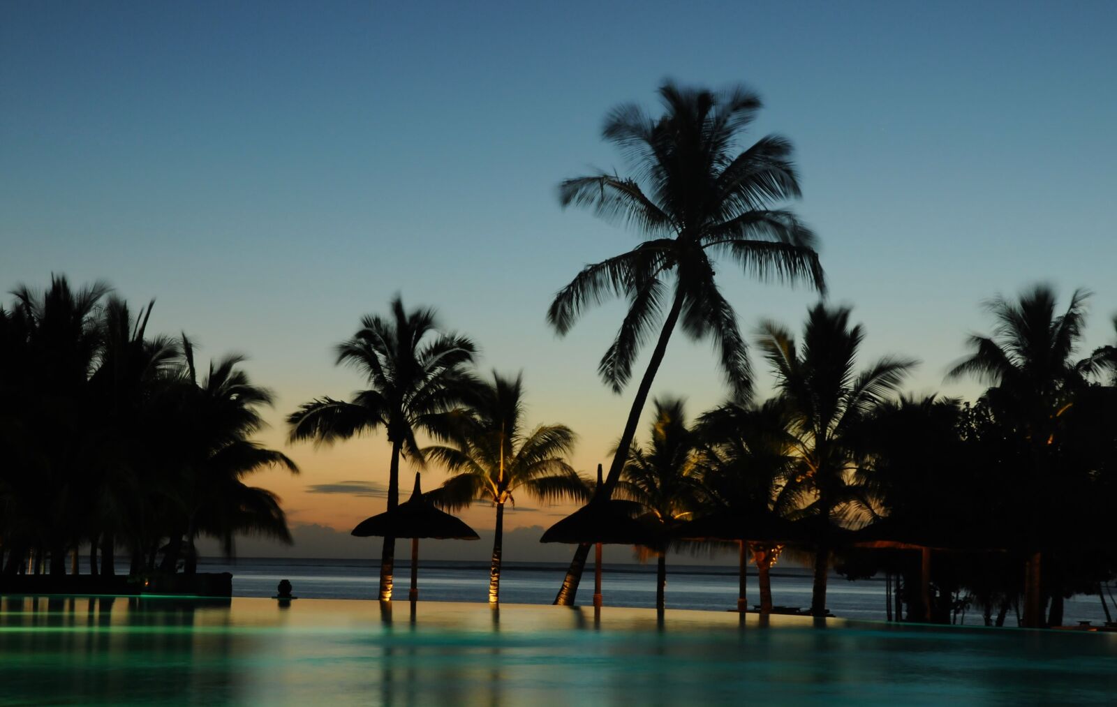 Nikon D300S sample photo. Trees, holidays, paradise photography