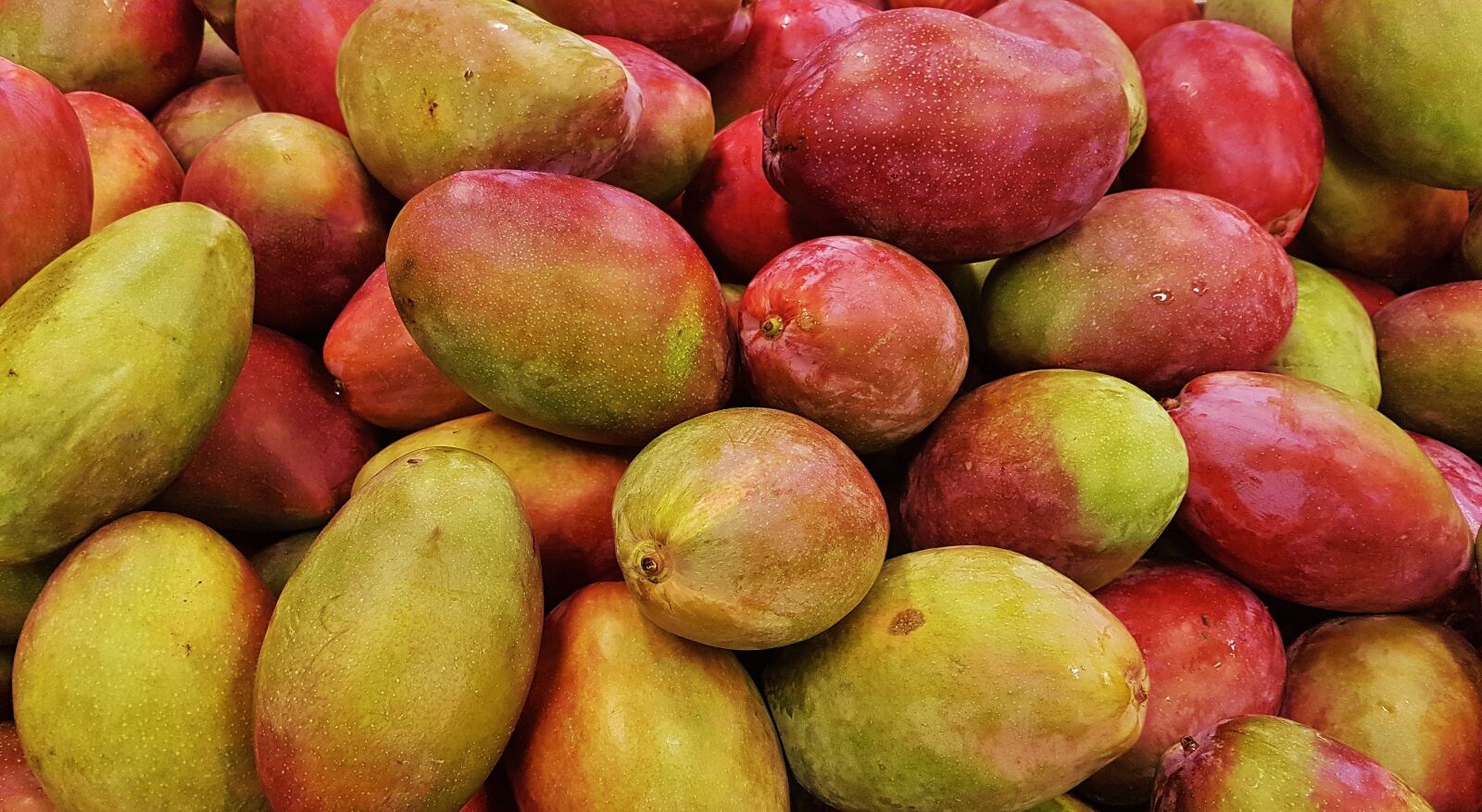 Samsung Galaxy S7 Edge sample photo. Food, fruit, healthy photography