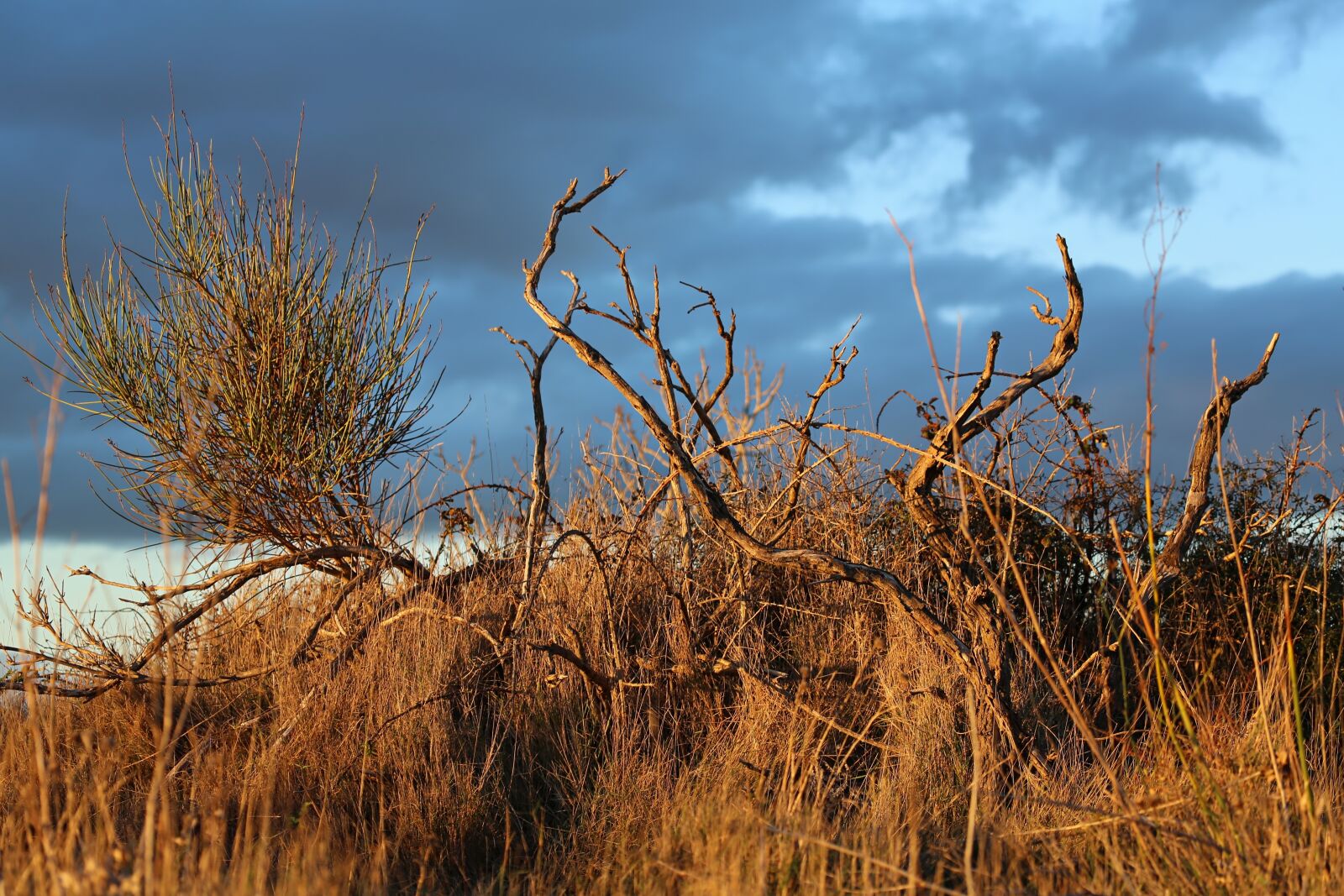 Canon EOS 5D Mark III sample photo. Landscape, sky, trees photography