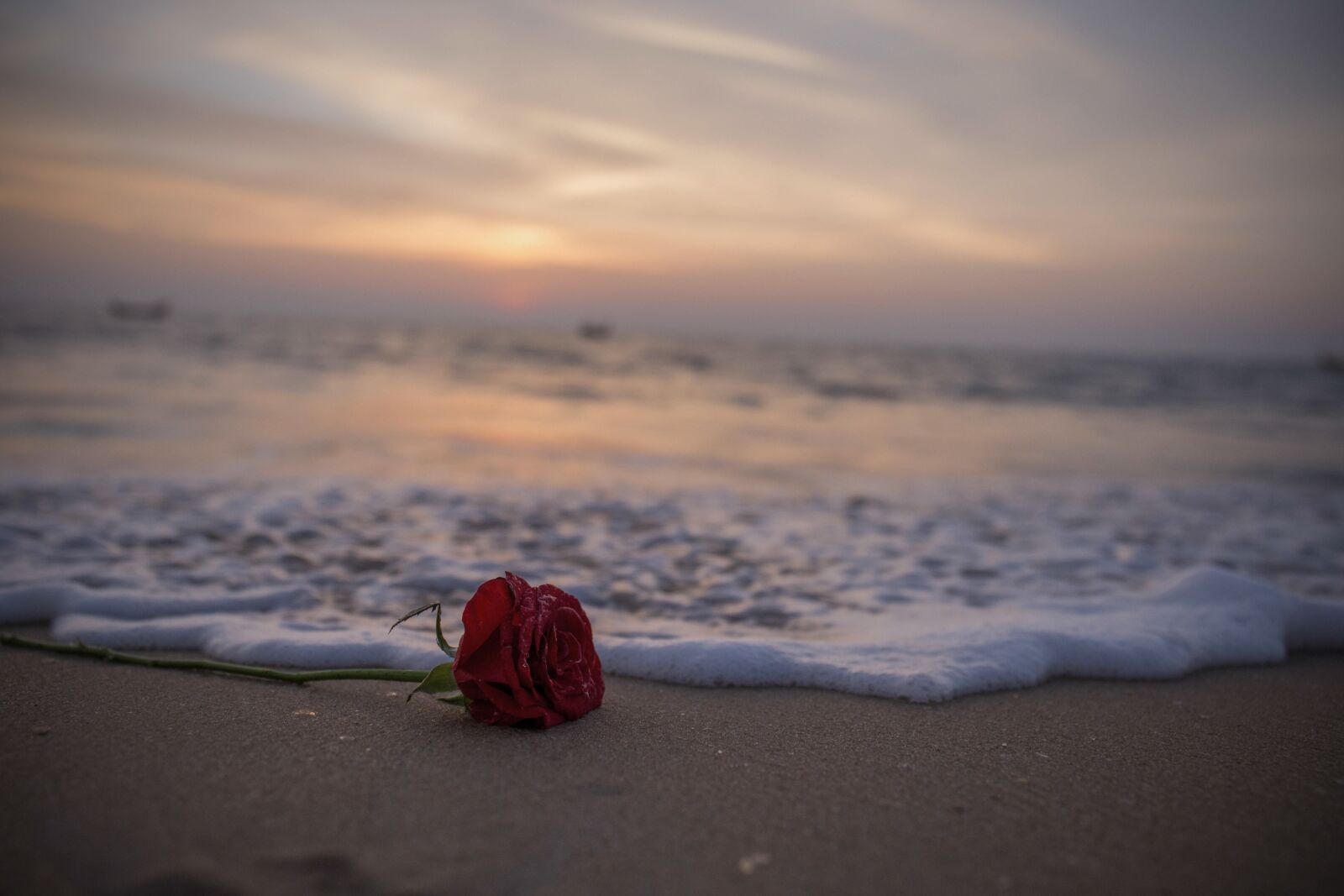 Canon EF 24-70mm F4L IS USM sample photo. Beach, sunset, sea photography