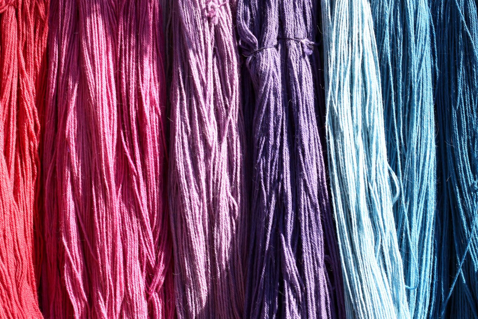 Canon EOS 50D sample photo. Color, threads, wool photography