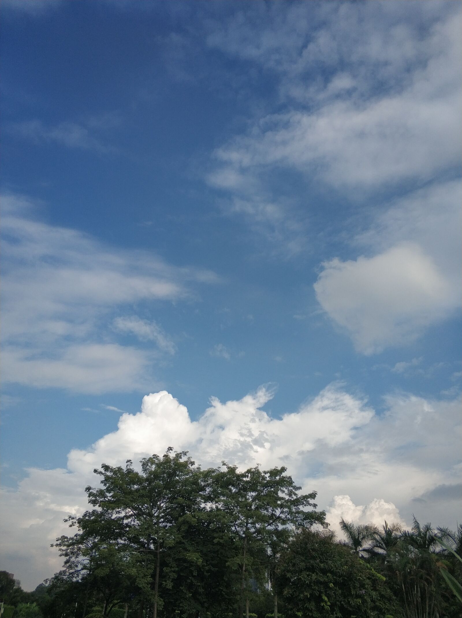 Xiaomi MI6 sample photo. Blue sky, white cloud photography