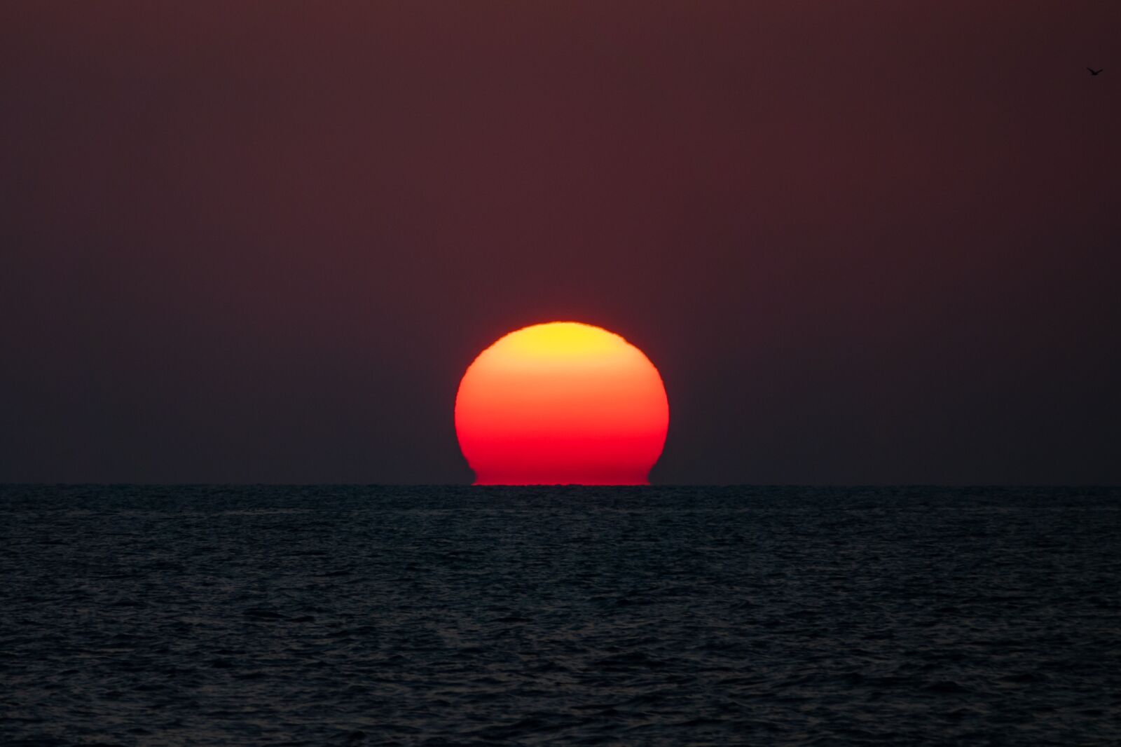 Sony Cyber-shot DSC-RX10 III sample photo. Sunset, sun, sea photography