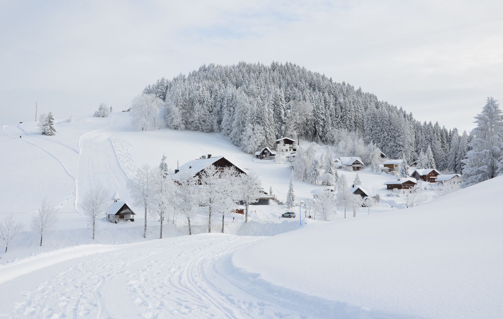 Nikon D5100 sample photo. Winter, snow, firs photography