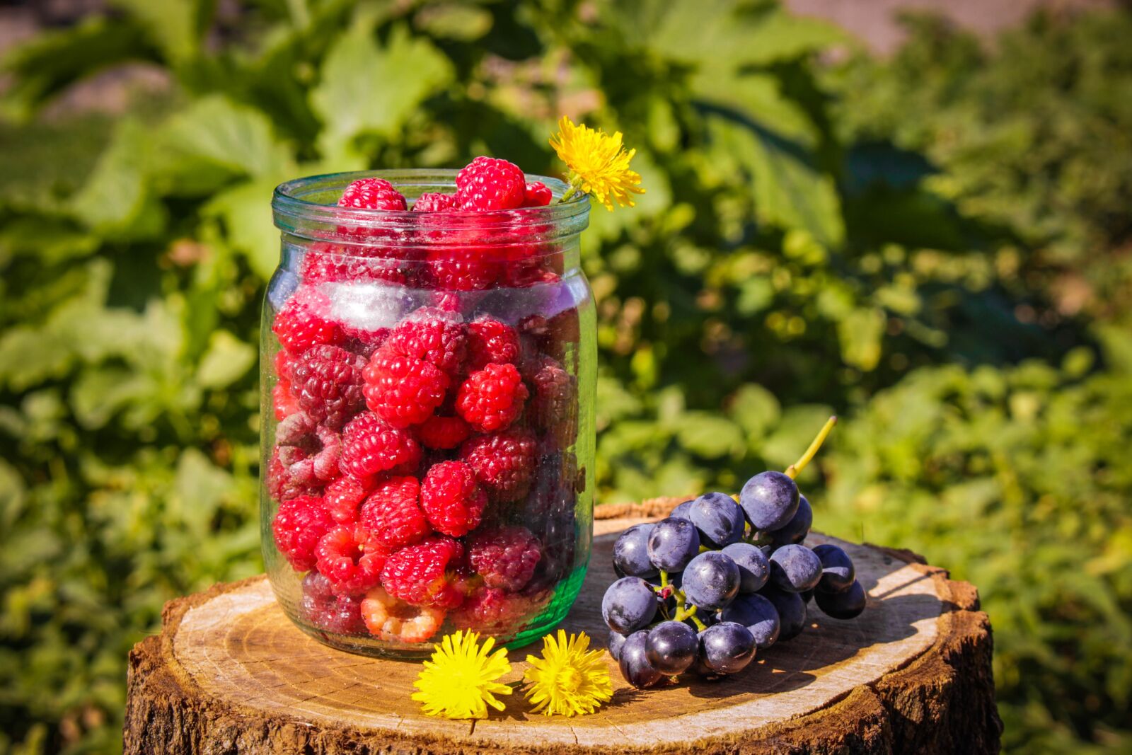 Canon EOS 700D (EOS Rebel T5i / EOS Kiss X7i) sample photo. Raspberry, summer, red photography
