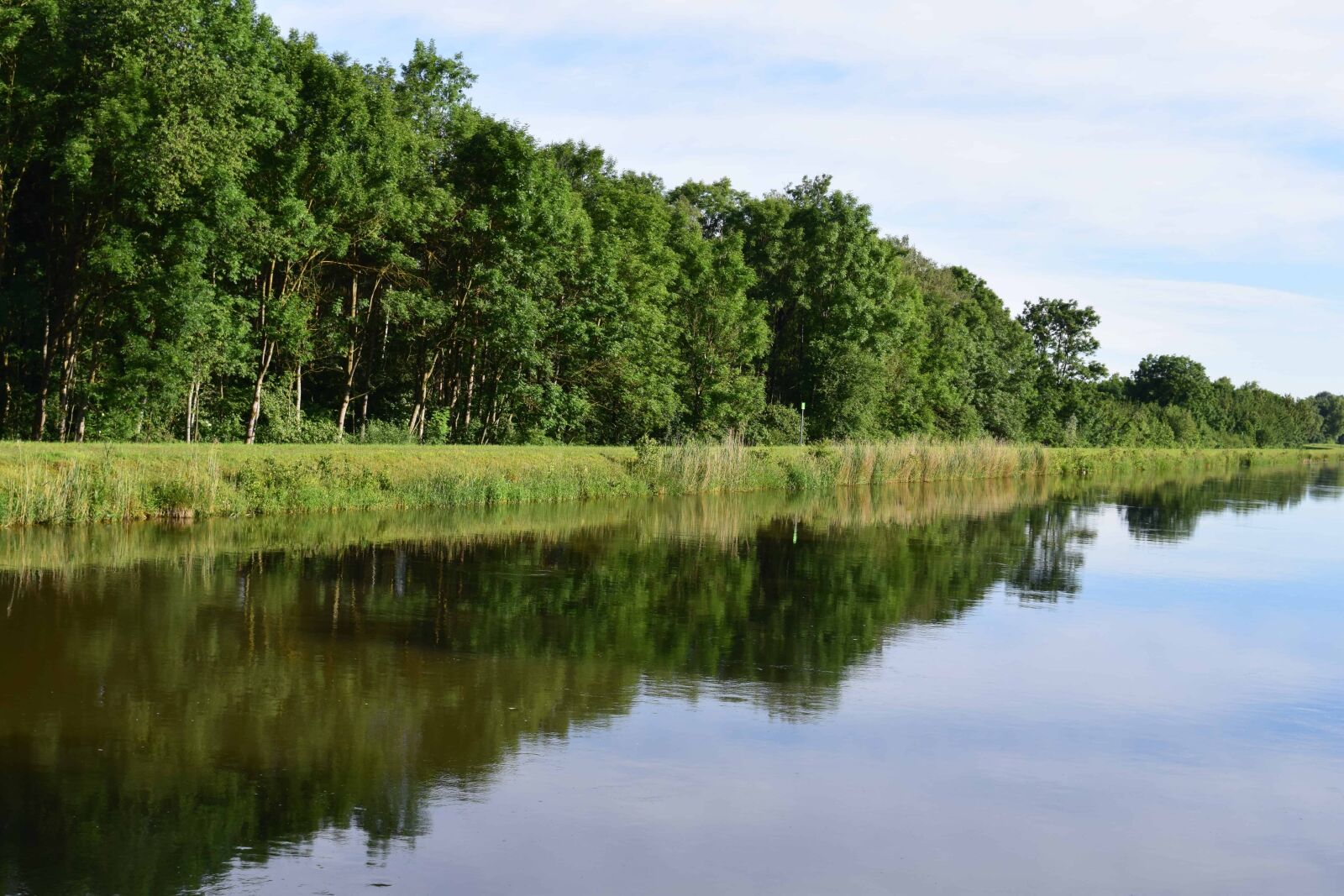 Nikon D3300 sample photo. Riverbank, blue sky, tree photography