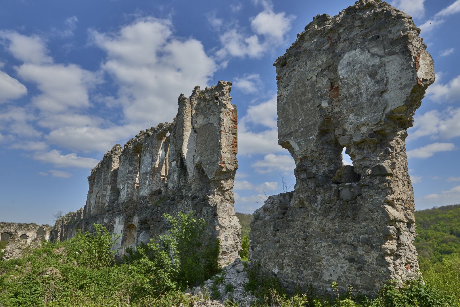 Nikon D800 sample photo. čabraď, castle, basket case photography