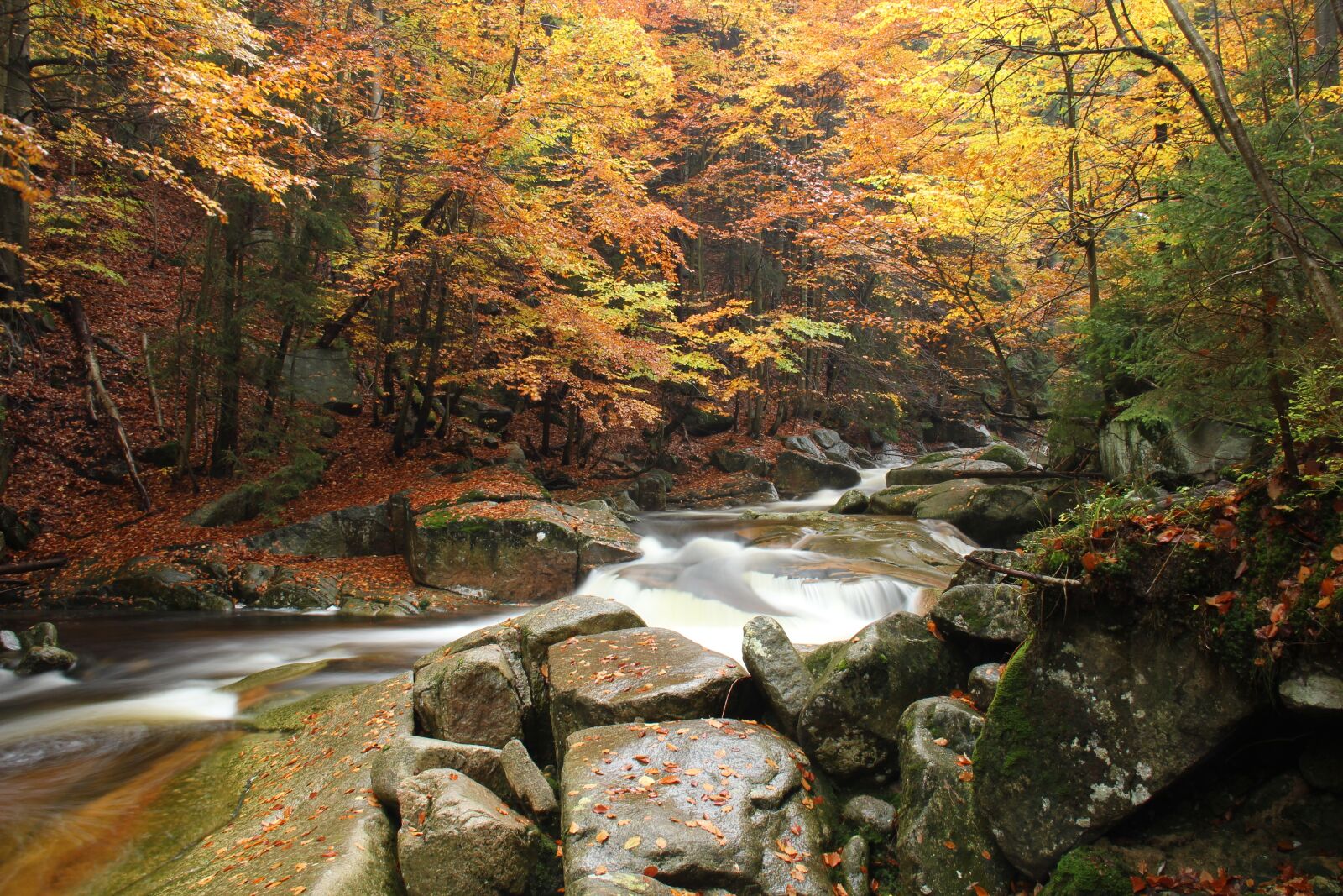 Canon EOS 600D (Rebel EOS T3i / EOS Kiss X5) sample photo. Mumlava, river, nature photography