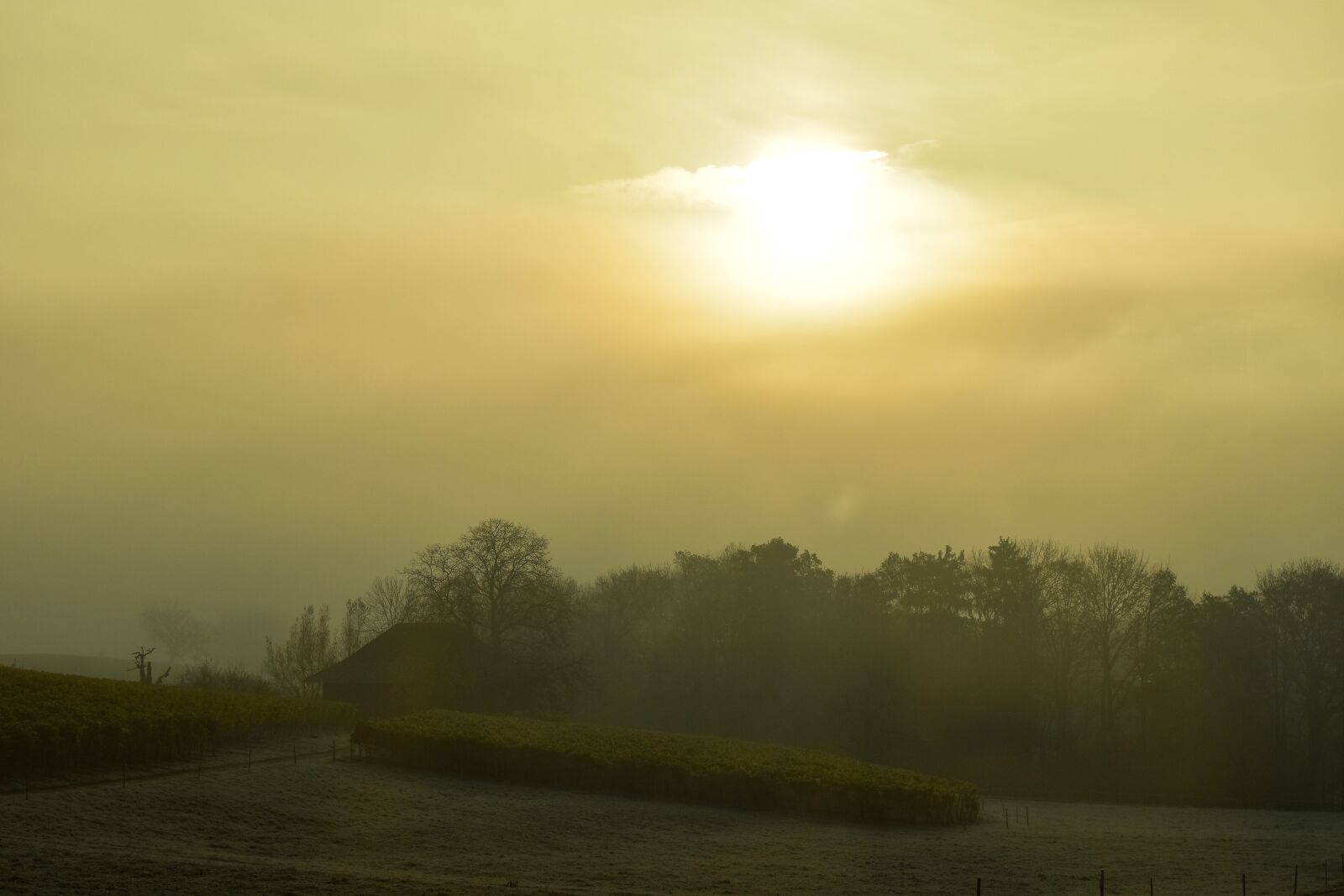 Nikon D5500 sample photo. Landscape, morgenstimmung, sunrise photography