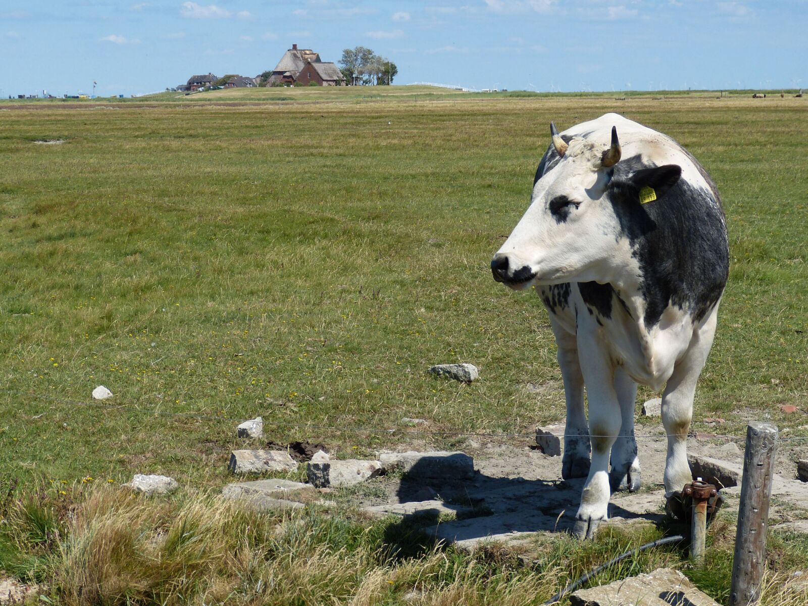 Panasonic Lumix DMC-FZ150 sample photo. Hallig, hooge, terp photography