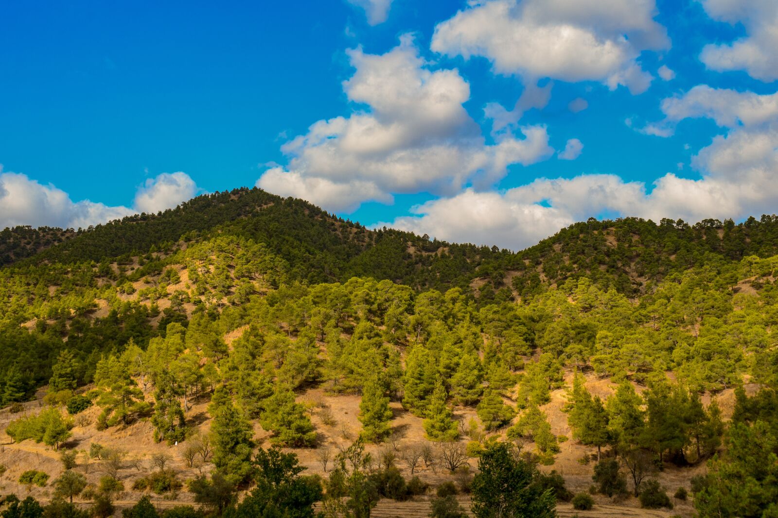 Nikon D3300 sample photo. Troodos mountain, range, scenery photography