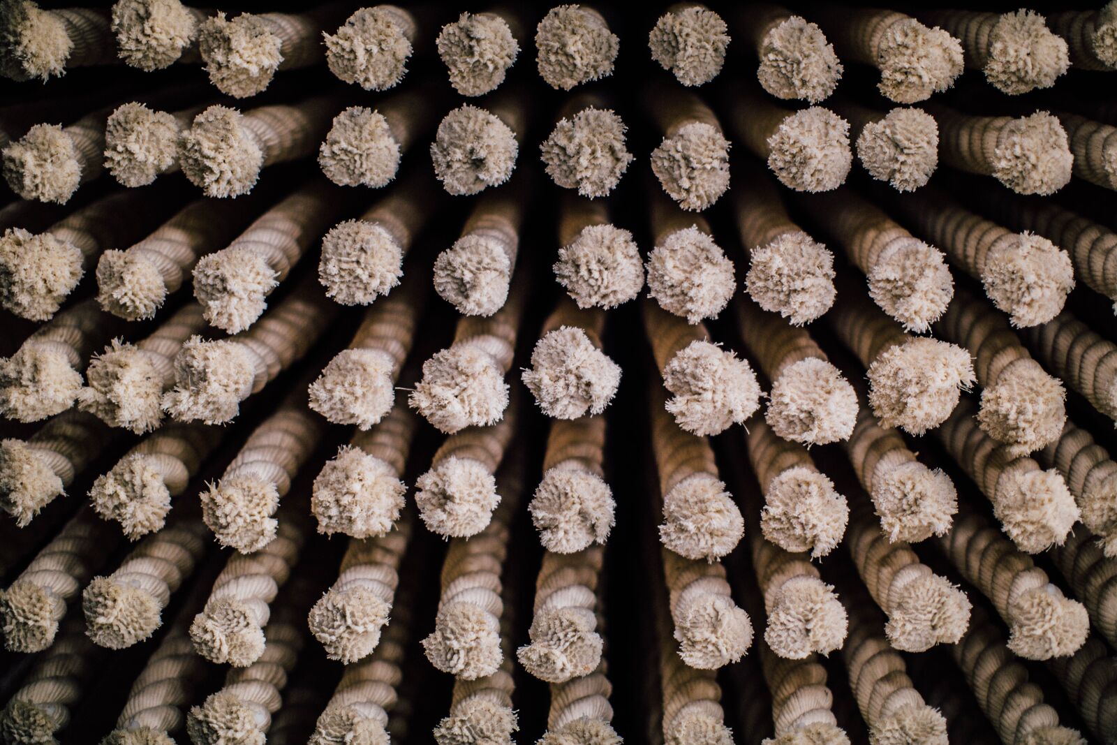 Canon EF 50mm F1.2L USM sample photo. Rope, abstract, design photography