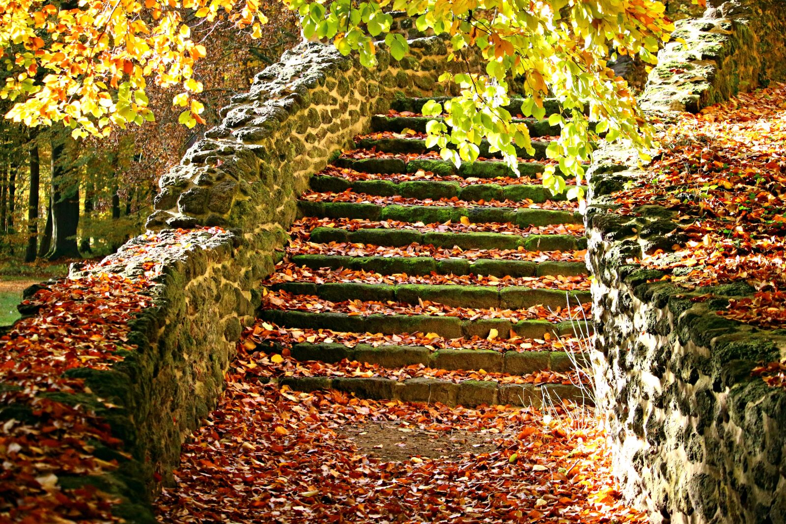 Canon EOS 100D (EOS Rebel SL1 / EOS Kiss X7) sample photo. Autumn, stairs, fall foliage photography