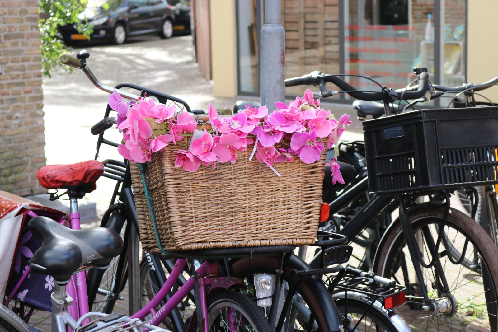 Canon EOS 80D sample photo. Bicycle basket, flowers, pink photography