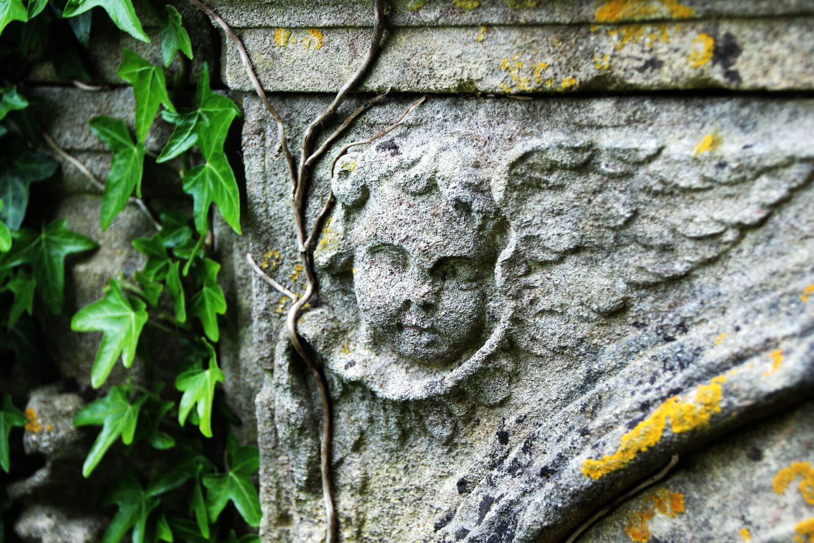 Canon EOS 1300D (EOS Rebel T6 / EOS Kiss X80) sample photo. Angel, death, cemetery photography