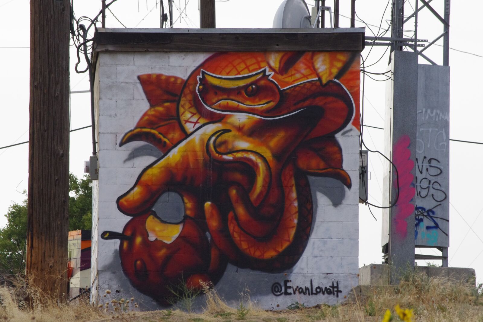 Pentax K-x sample photo. Graffiti, snake, temptation photography