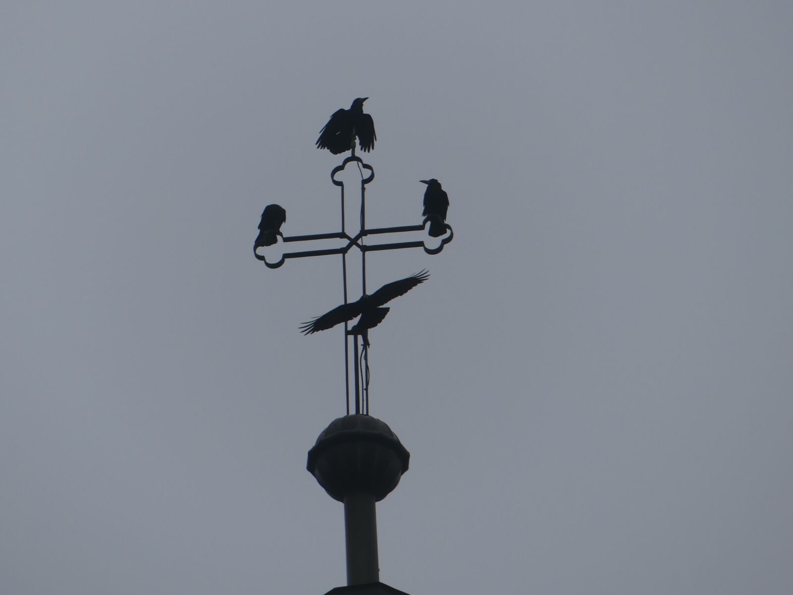 Panasonic Lumix DMC-FZ300 sample photo. Cross, raven, cemetery photography