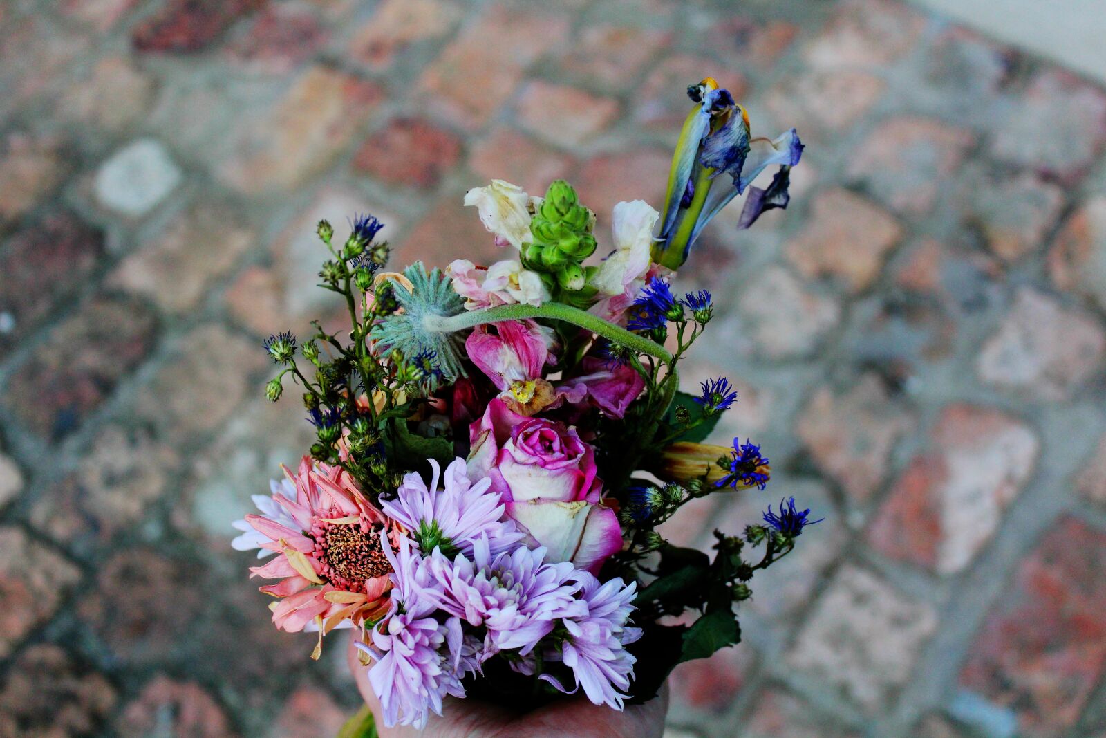 Canon EOS 1200D (EOS Rebel T5 / EOS Kiss X70 / EOS Hi) sample photo. Flowers, bouquet, roses photography