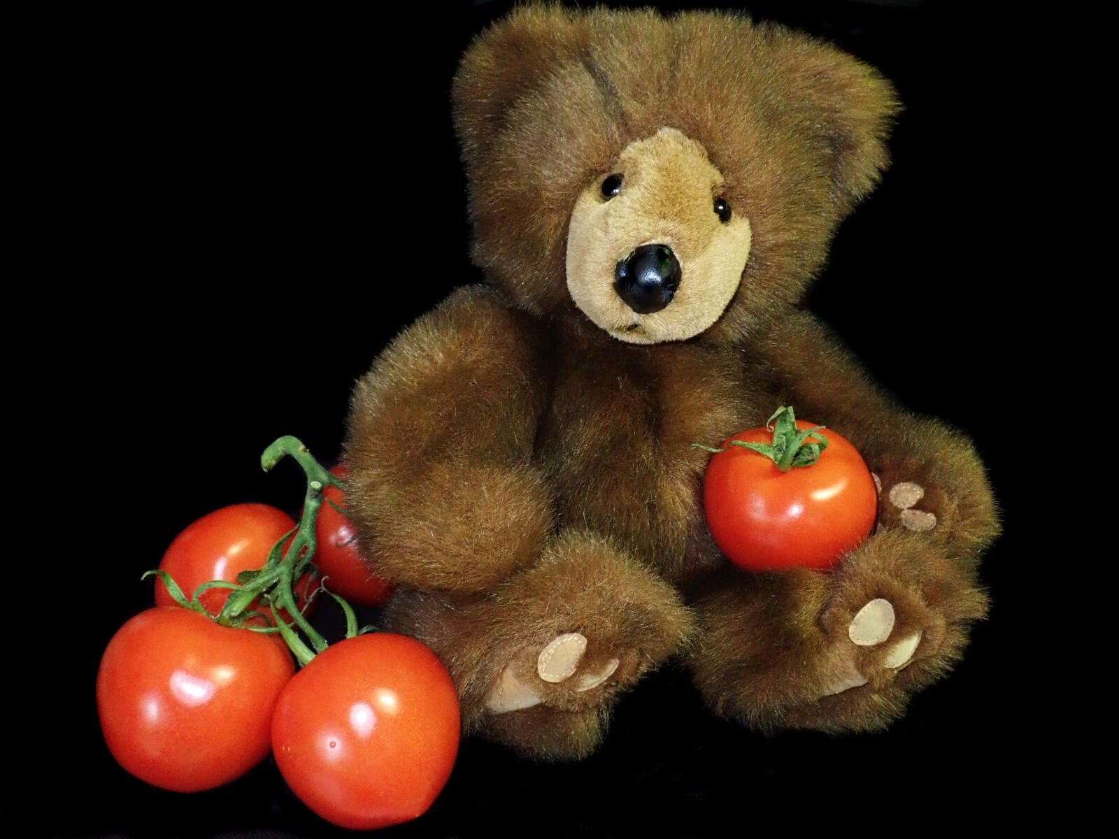Olympus TG-5 sample photo. Teddy, bear, toy photography