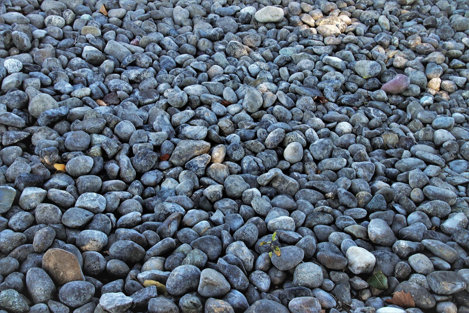 Canon EOS 80D sample photo. Gray, rock, stone photography