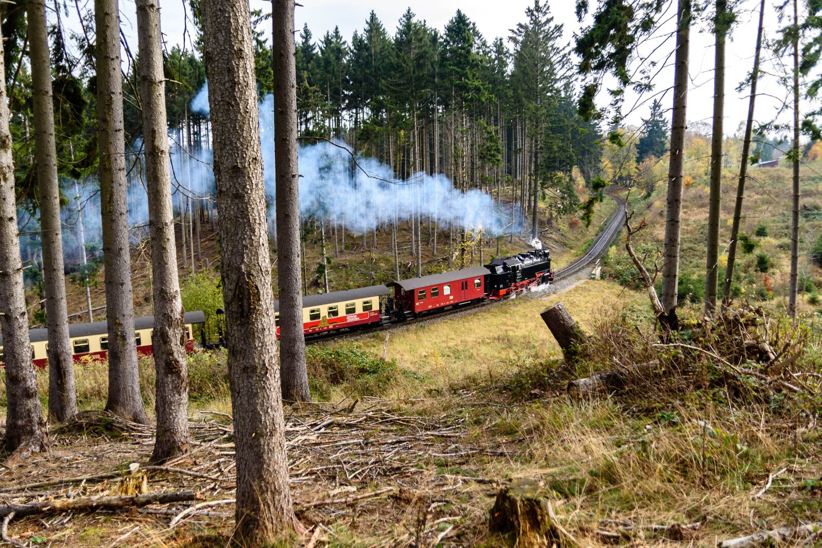 Nikon D750 sample photo. Steam locomotive, in the photography