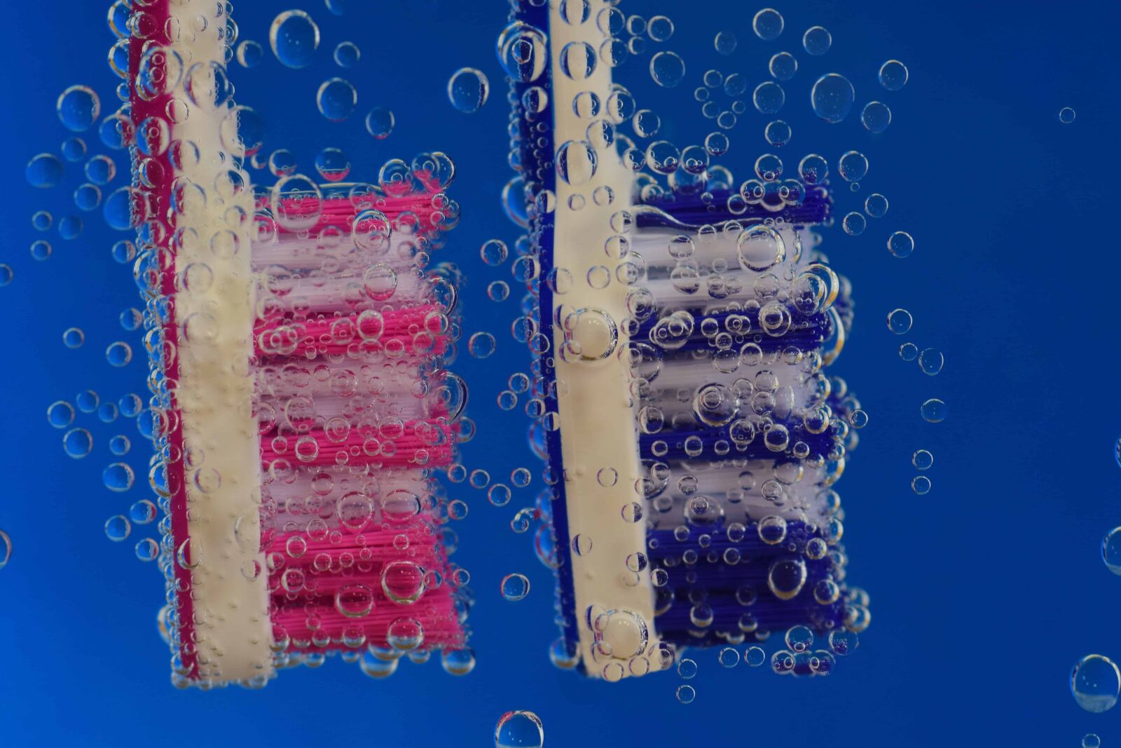 Nikon D3300 sample photo. Fiber, brush, design, underwater photography