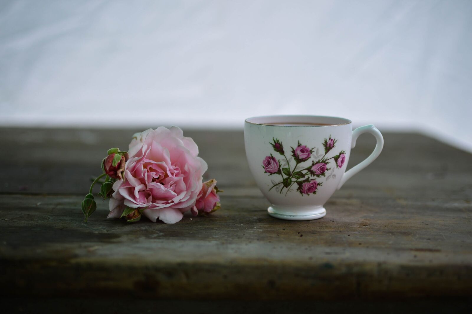 Nikon D3200 sample photo. Coffee, cup, drink photography