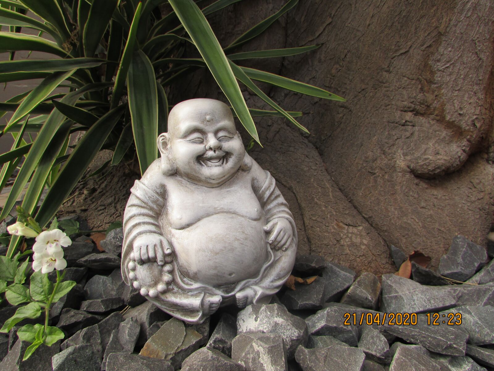 Canon PowerShot SX400 IS sample photo. Laughing buddha, goodvibes, buddha photography