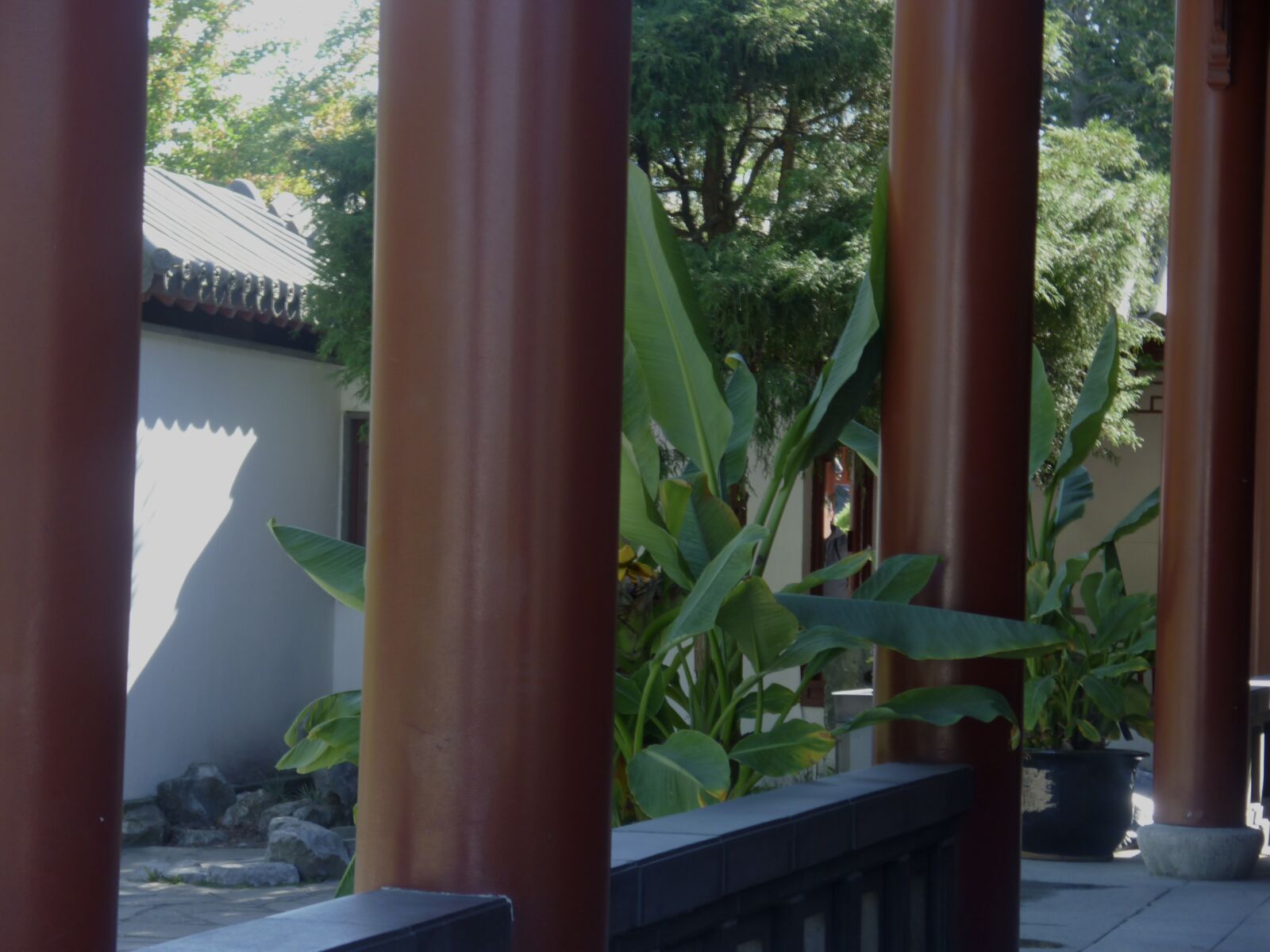 Panasonic DMC-ZR1 sample photo