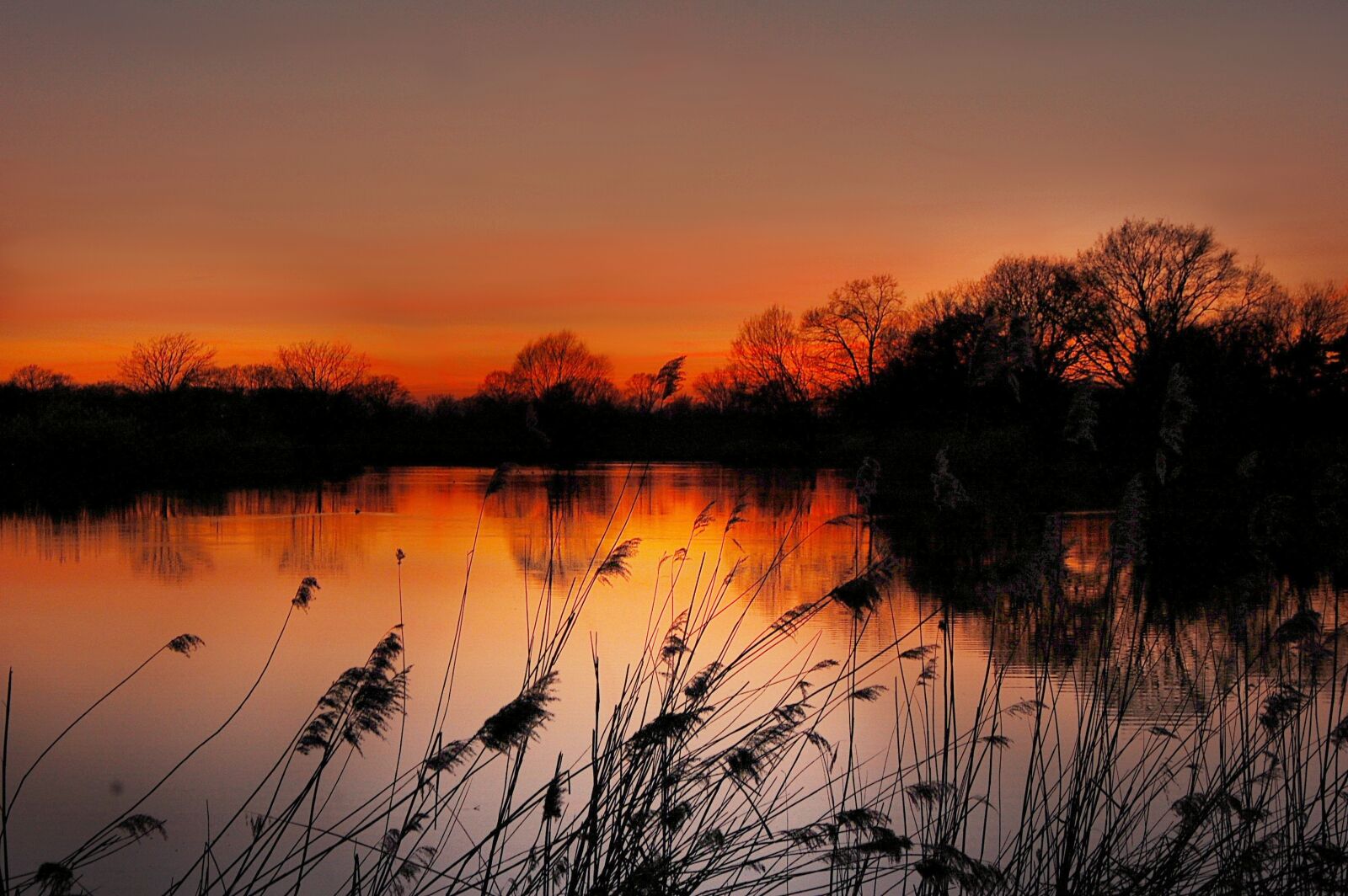 Nikon D40 sample photo. Sun, pond, water photography