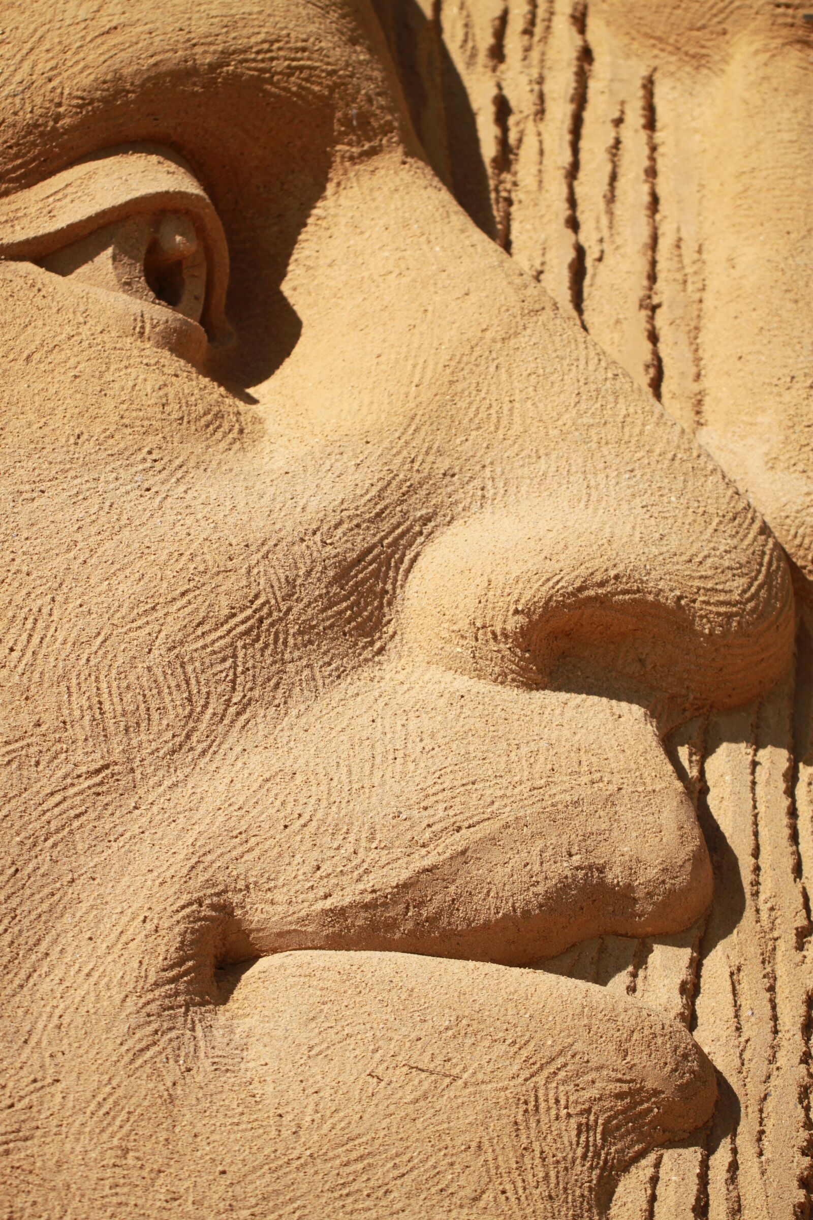 Canon EOS 500D (EOS Rebel T1i / EOS Kiss X3) sample photo. Face, sand, sculpture photography
