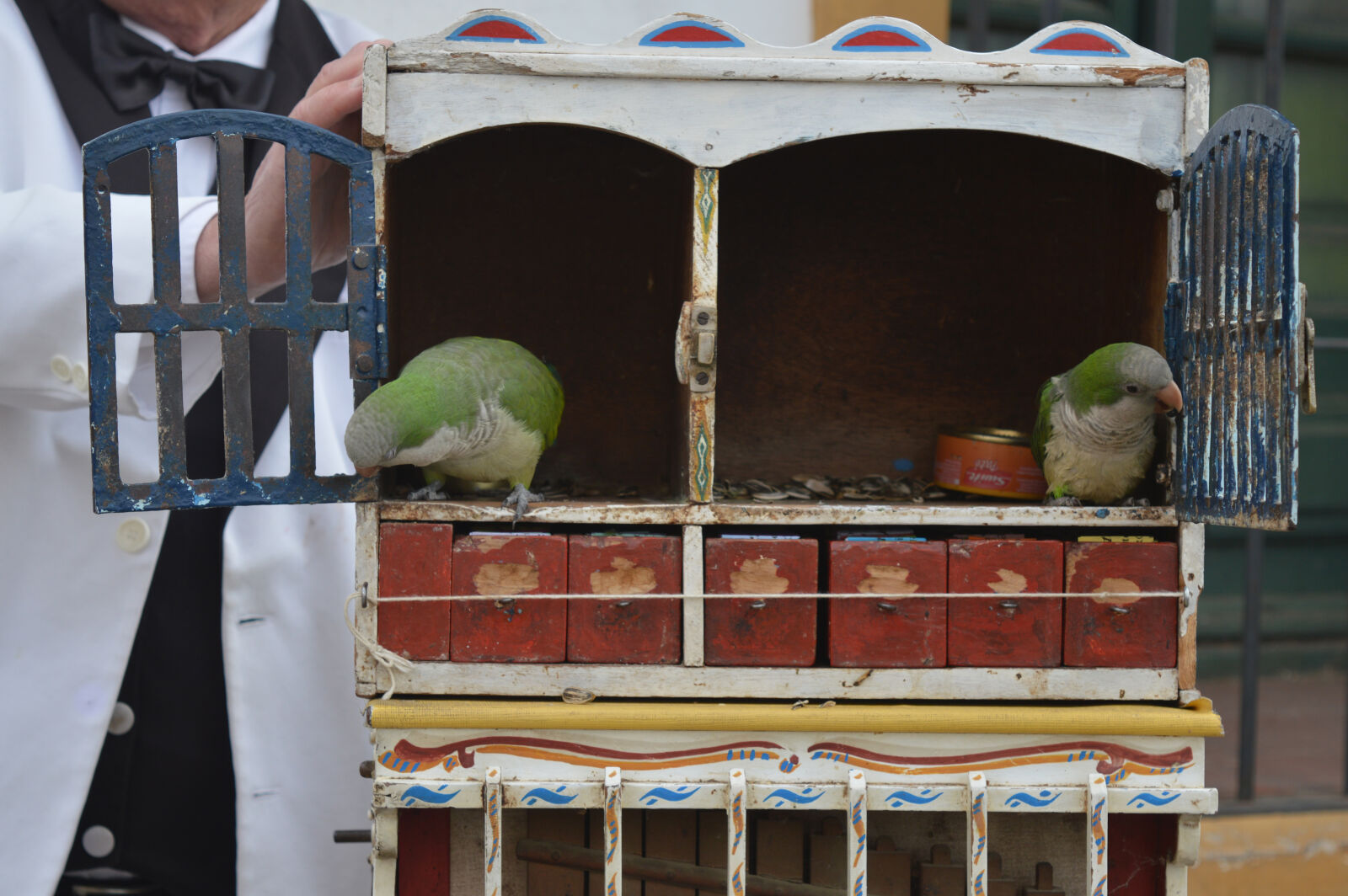 Nikon D3200 sample photo. Buenos, aires, lujan photography