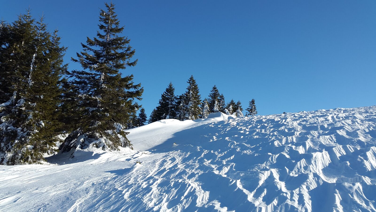 Samsung Galaxy Alpha sample photo. Wind gangeln, snow, winter photography