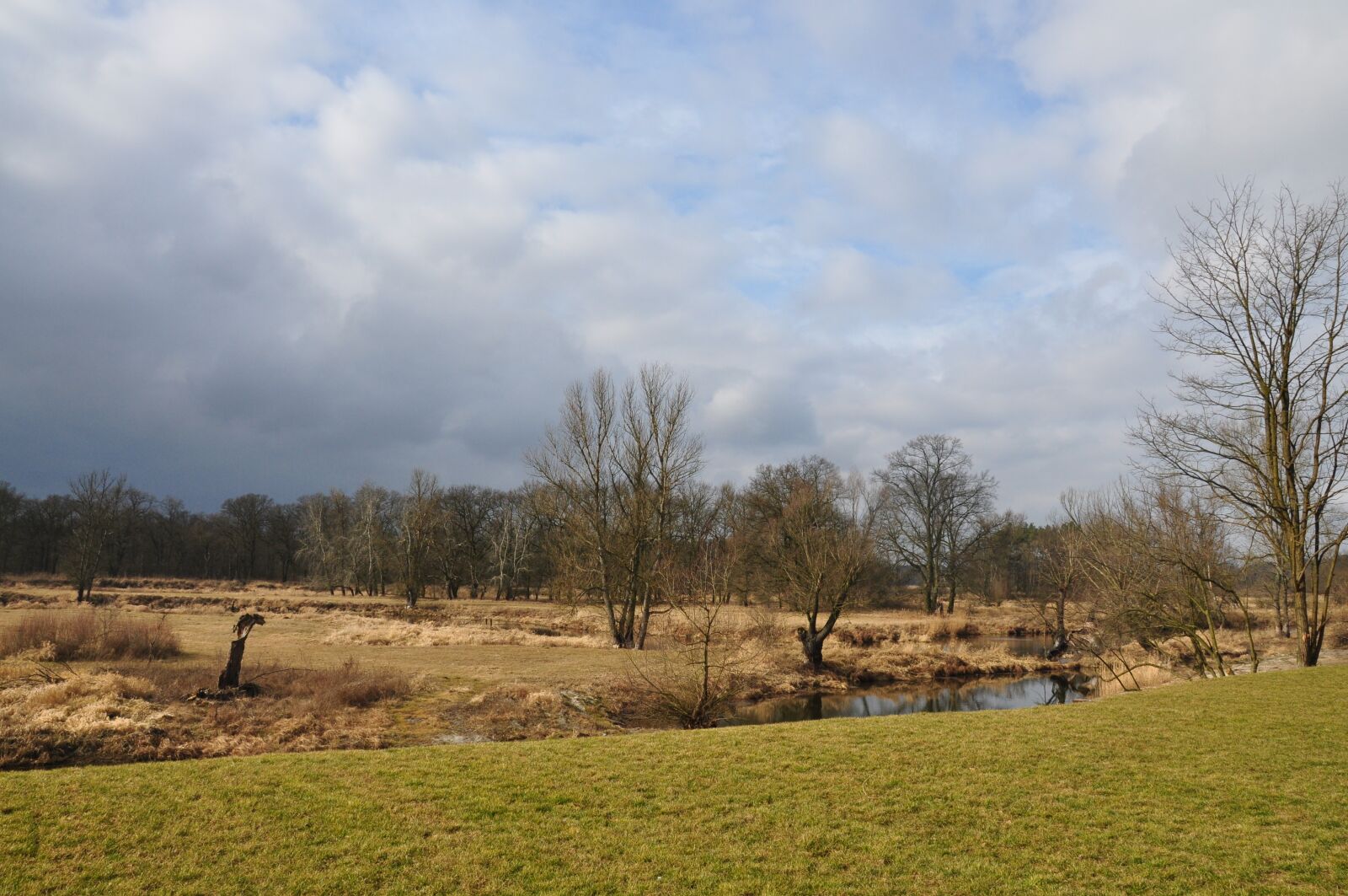 Nikon D90 sample photo. Nature, river, landscape photography