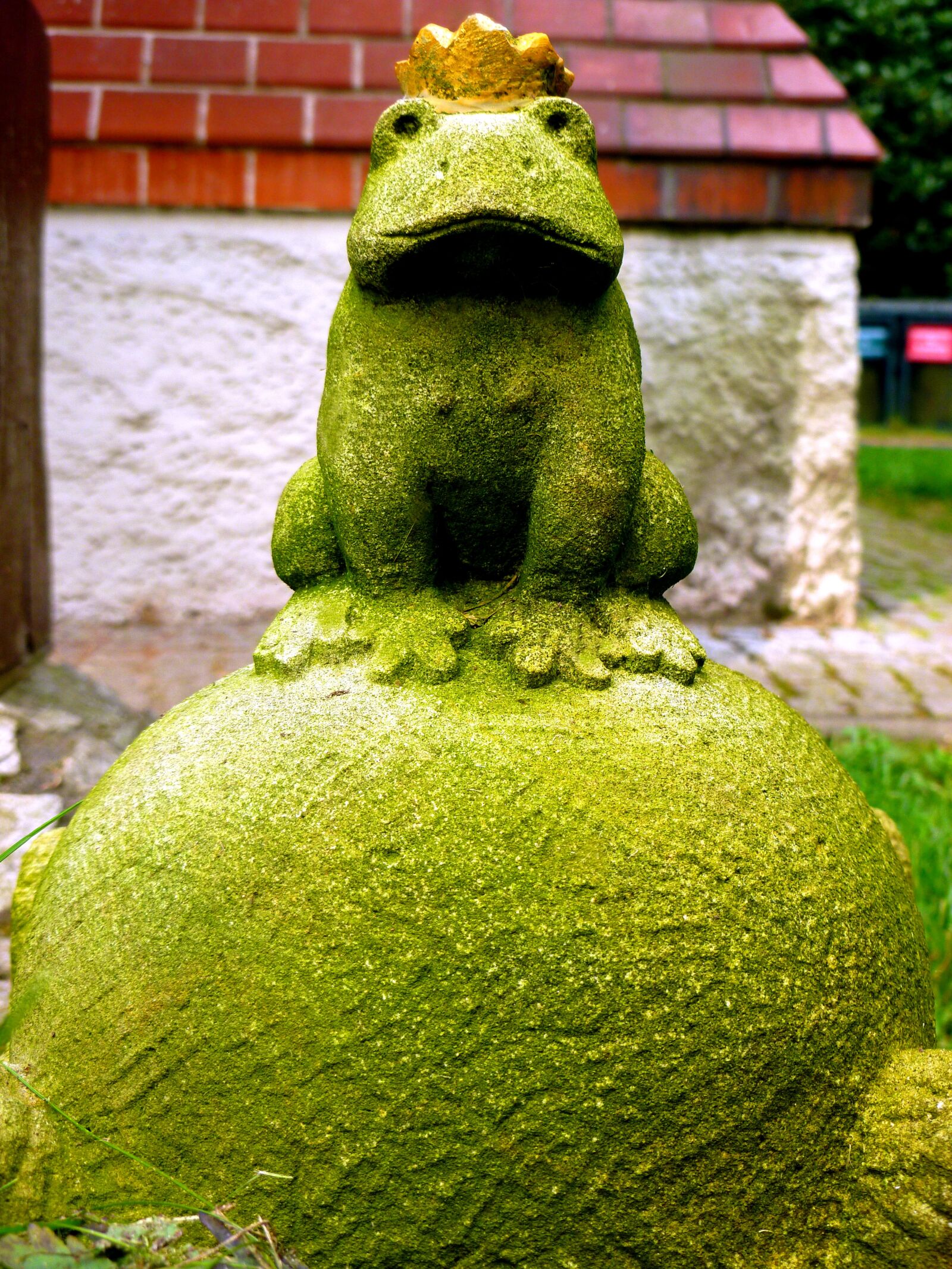 Panasonic DMC-FS37 sample photo. Frog prince, fairy tales photography