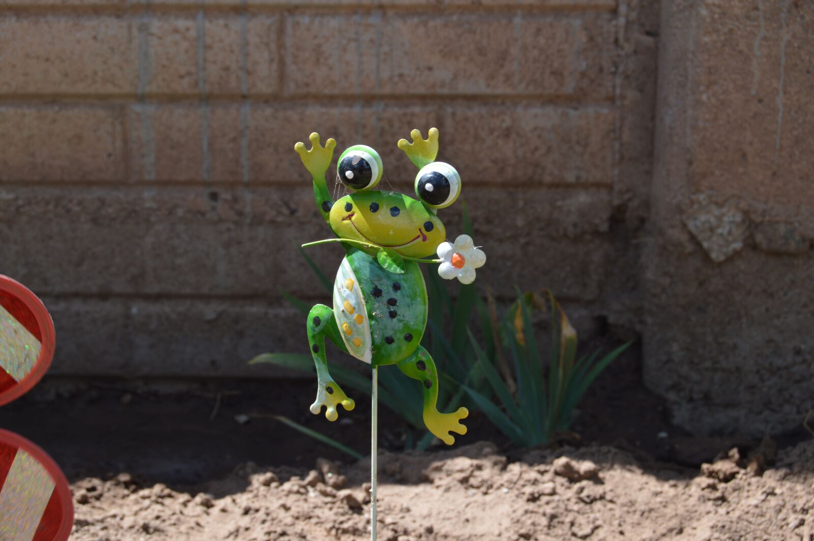 Nikon D3200 sample photo. Outside, frog, creature photography