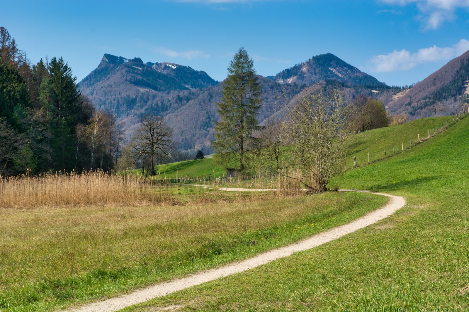 Nikon D7100 sample photo. Spring, away, nature photography