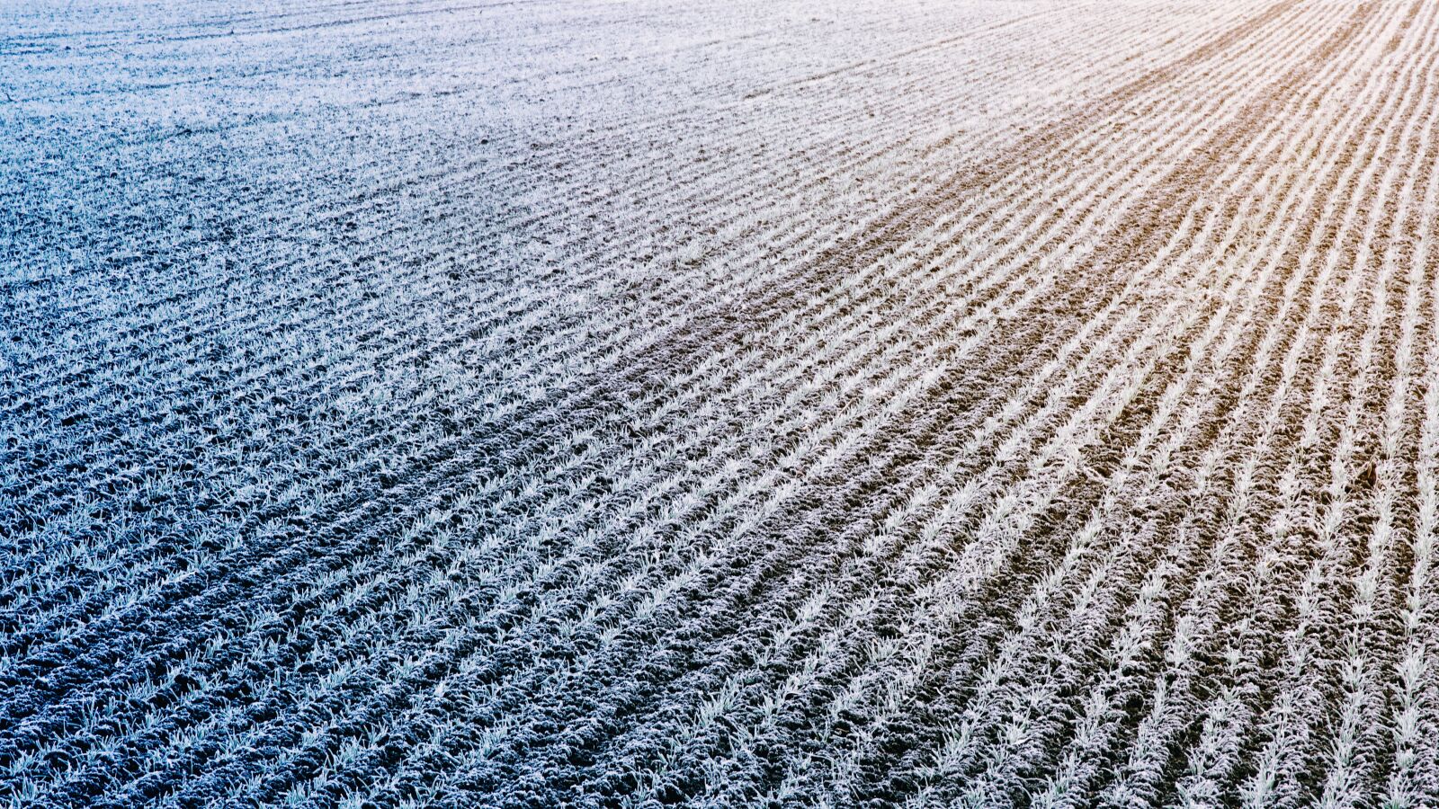 Sony a7 II + DT 70-200mm F4 SAM sample photo. Field, winter, structure photography