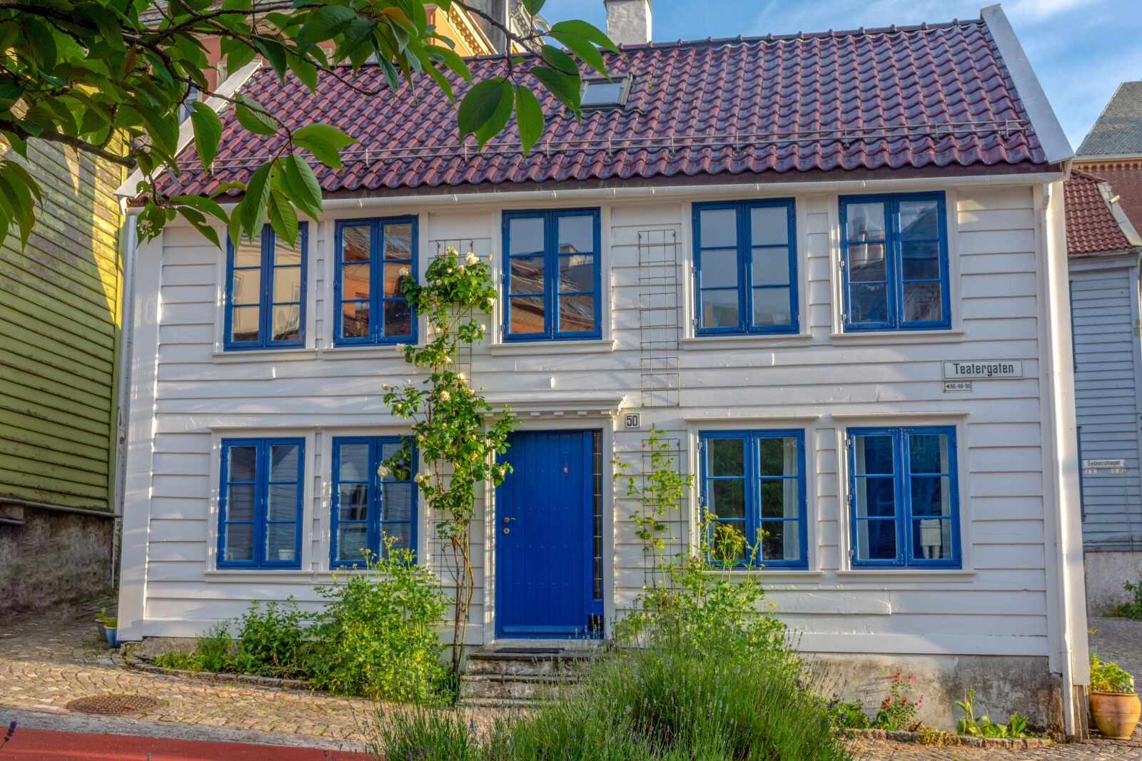 Nikon D7200 sample photo. House, street, city photography