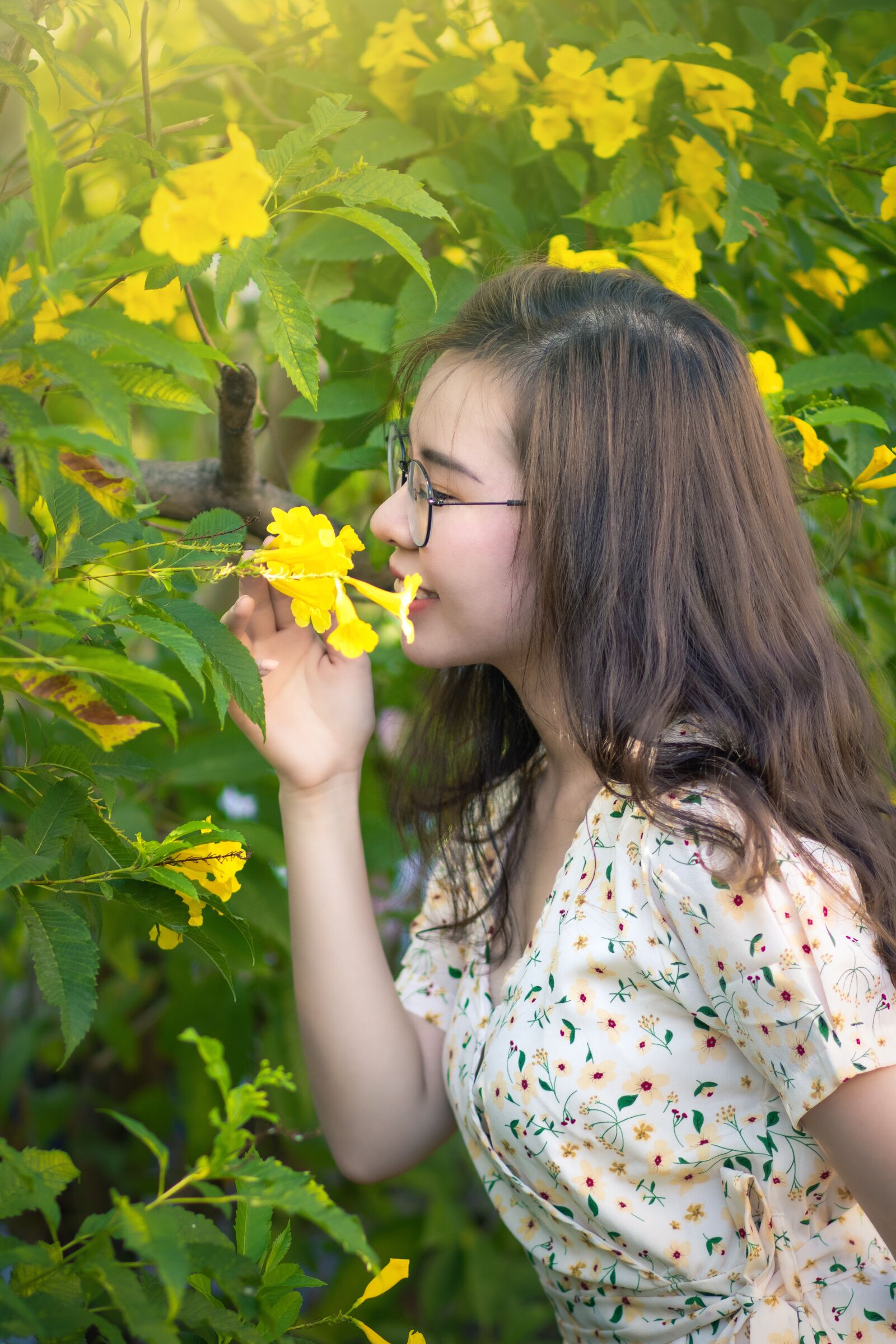 Canon EOS 80D + Canon EF 85mm F1.8 USM sample photo. Flower garden, yellow flowers photography