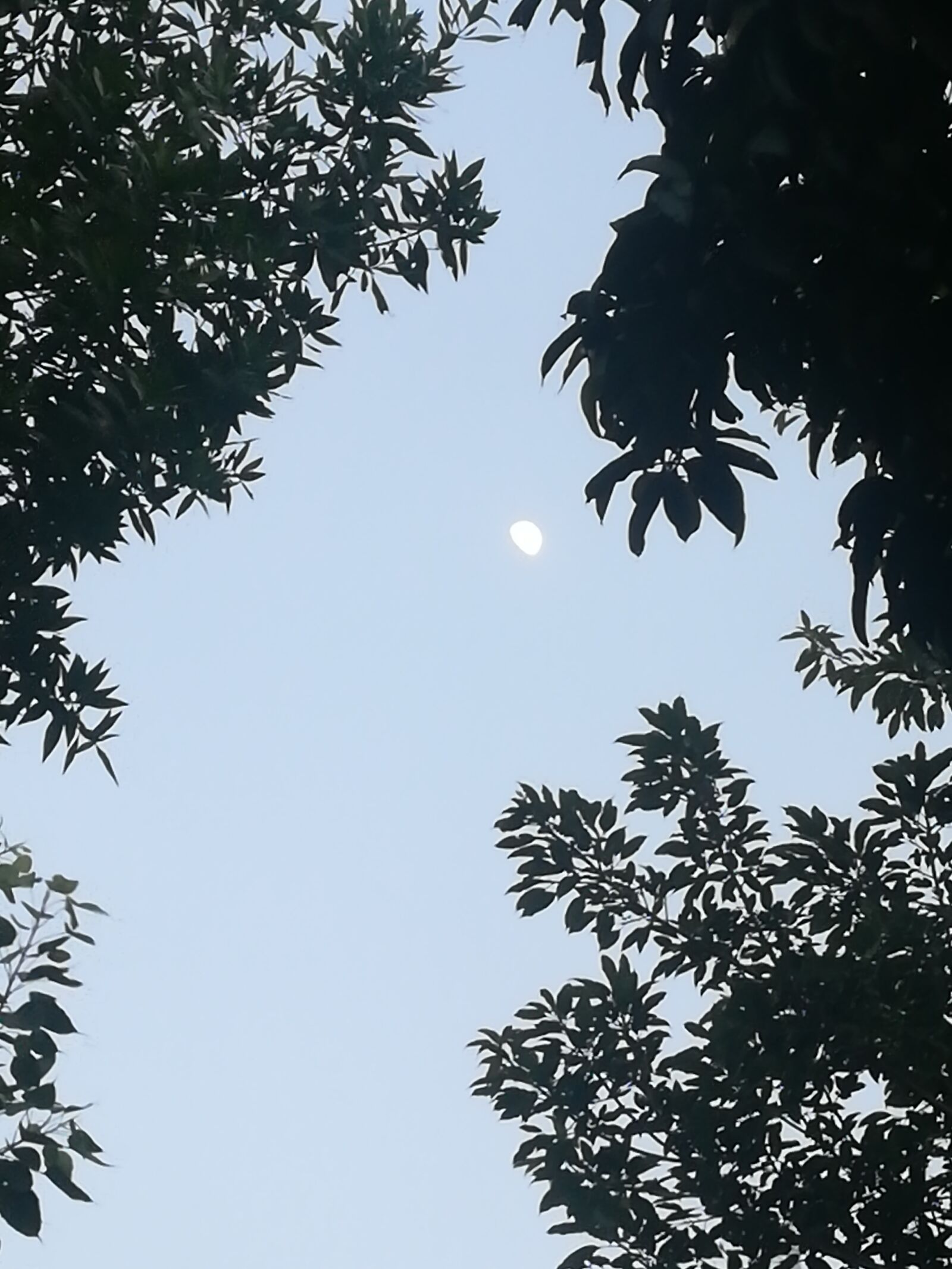 HUAWEI P8 lite 2017 sample photo. Like, beautiful, amazing photography