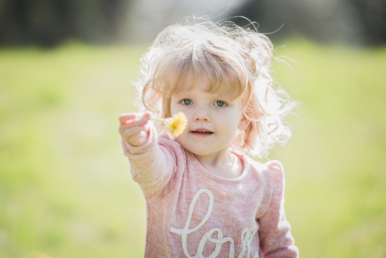 Nikon D810 sample photo. Child, toddler, cute photography