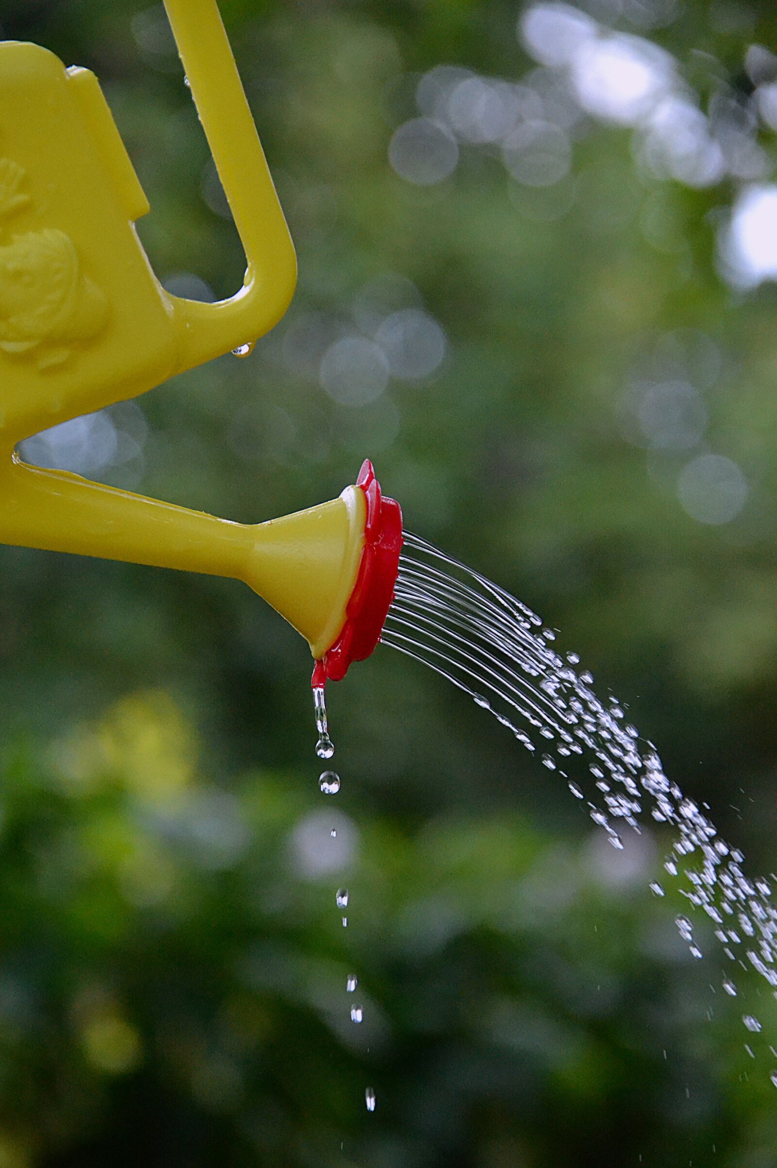 Nikon D3200 sample photo. Pot, yellow, water photography