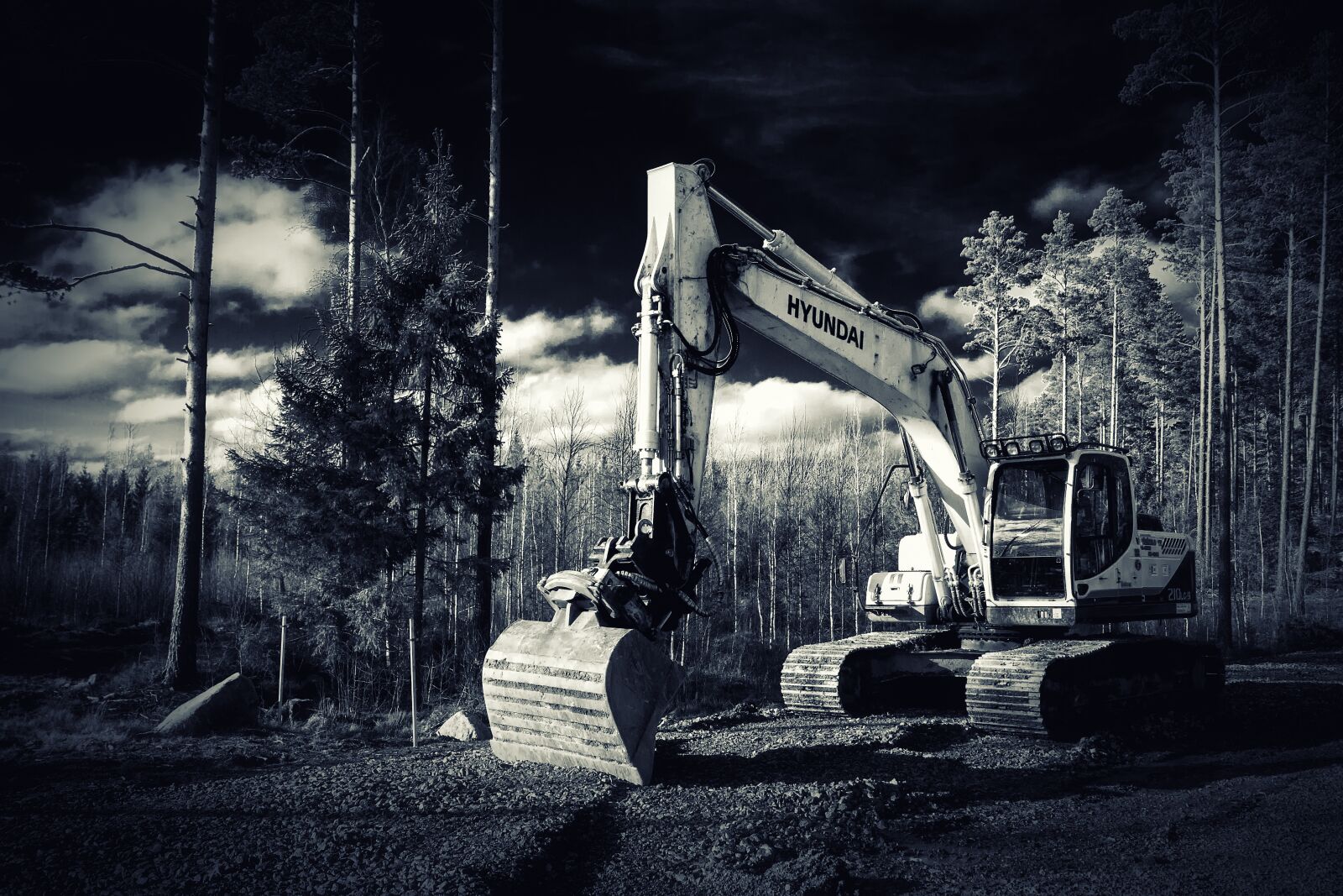 Canon EOS 7D sample photo. Excavator, forest, construction machine photography