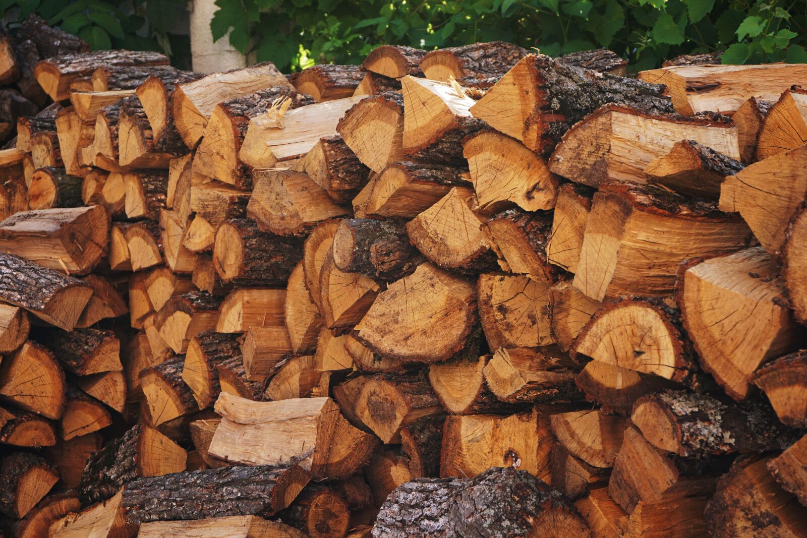 Sony a6000 sample photo. Bark, chopped wood, firewoods photography