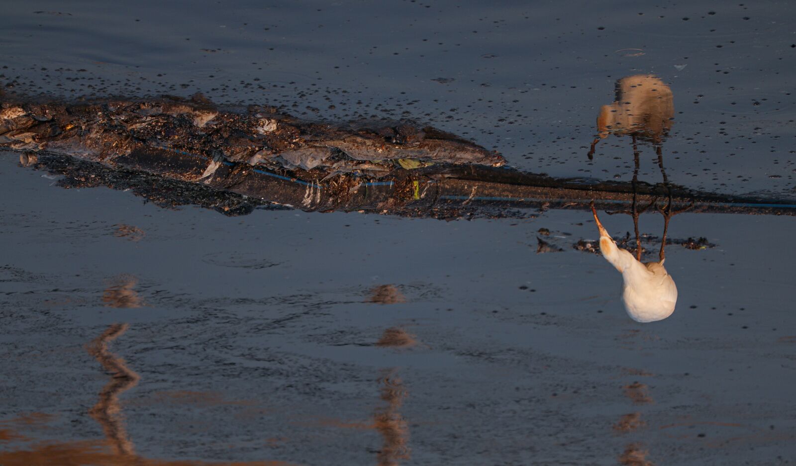 Canon EF-S 55-250mm F4-5.6 IS STM sample photo. Water, landscape, nature photography