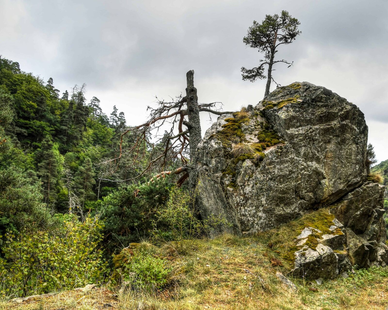 Nikon D500 sample photo. Mountain, wood, nature, sky photography