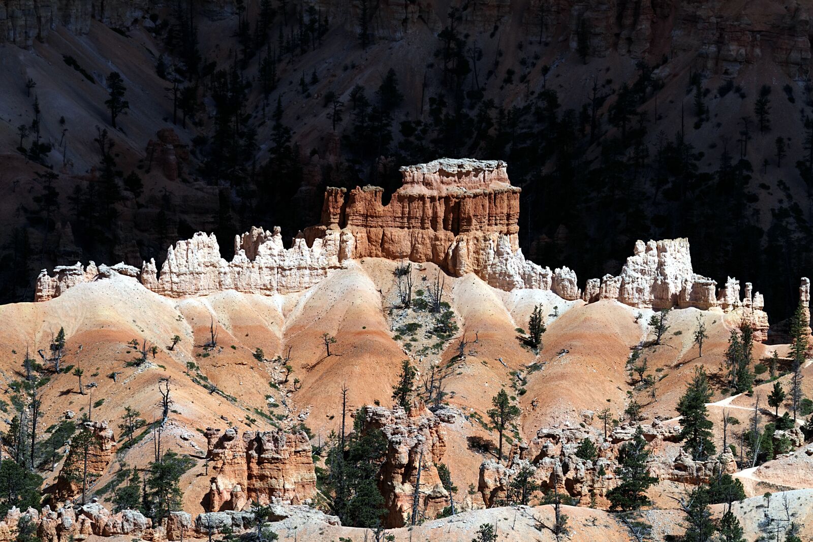 Canon EOS 7D sample photo. Bryce canyon, paunsaugunt plateau photography