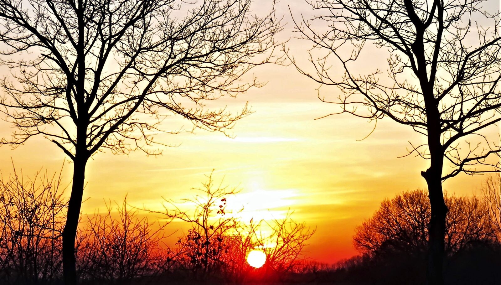 Canon PowerShot SX710 HS sample photo. Sunset, dusk, sky photography